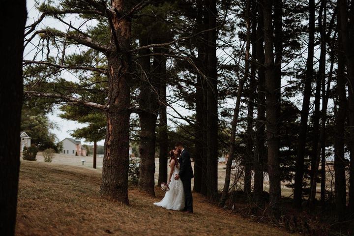 Morgan Wedding - 2019 (photos courtesy of Justin and Julianna Morgan)