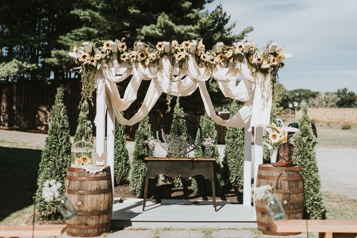 McCoy Wedding - 2019 (photos courtesy of Jenna and David McCoy)