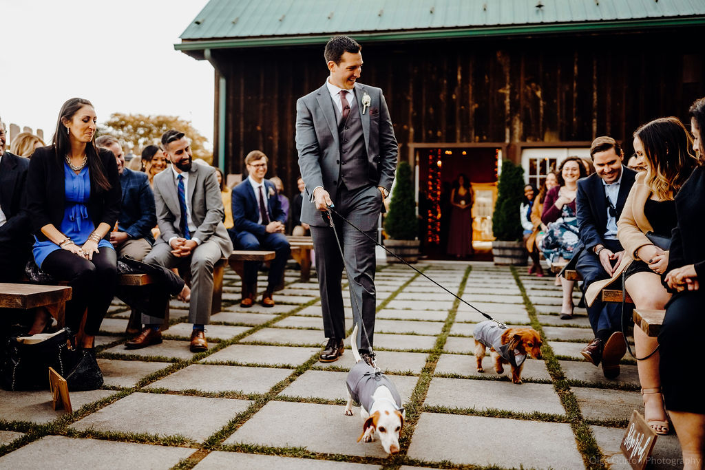 Angela and Joe's Wedding by Olga Gurton Photography